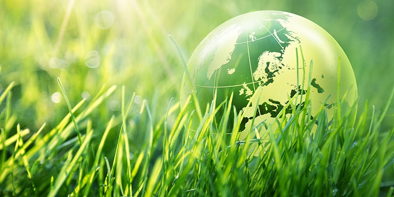 Green globe